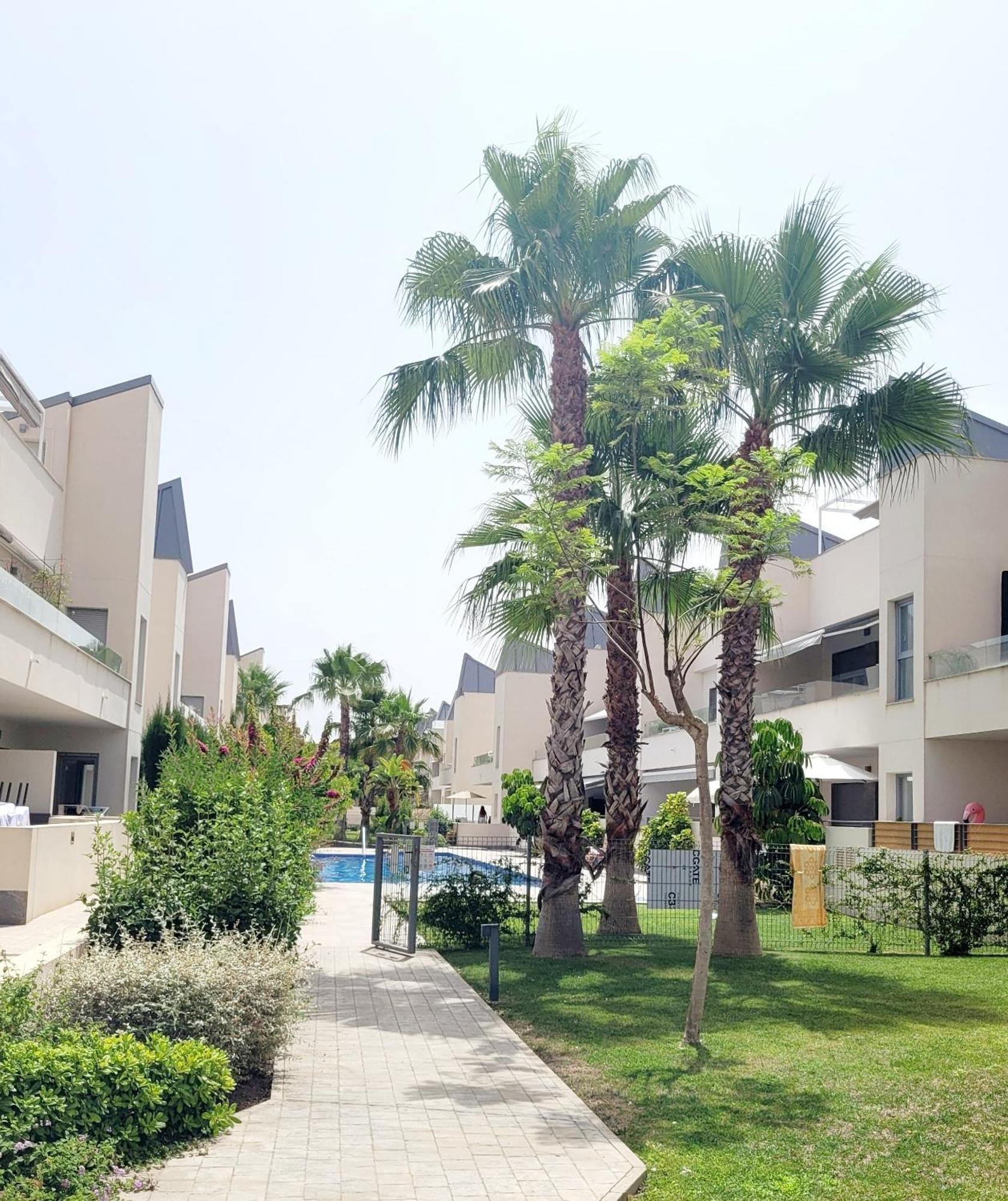 Appartamento Pmt01 - Modern, Luxury With Heated Pool Torrevieja Esterno foto